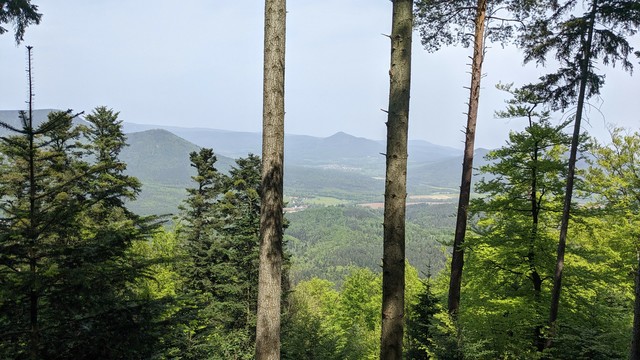 Sight from a forest onto the Vosges mountains.